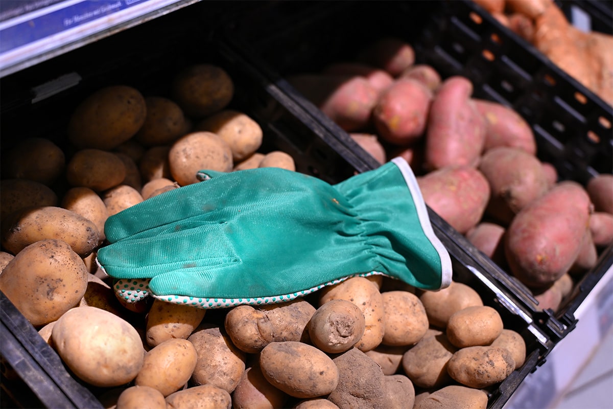 Bioladen Test2022-004-min