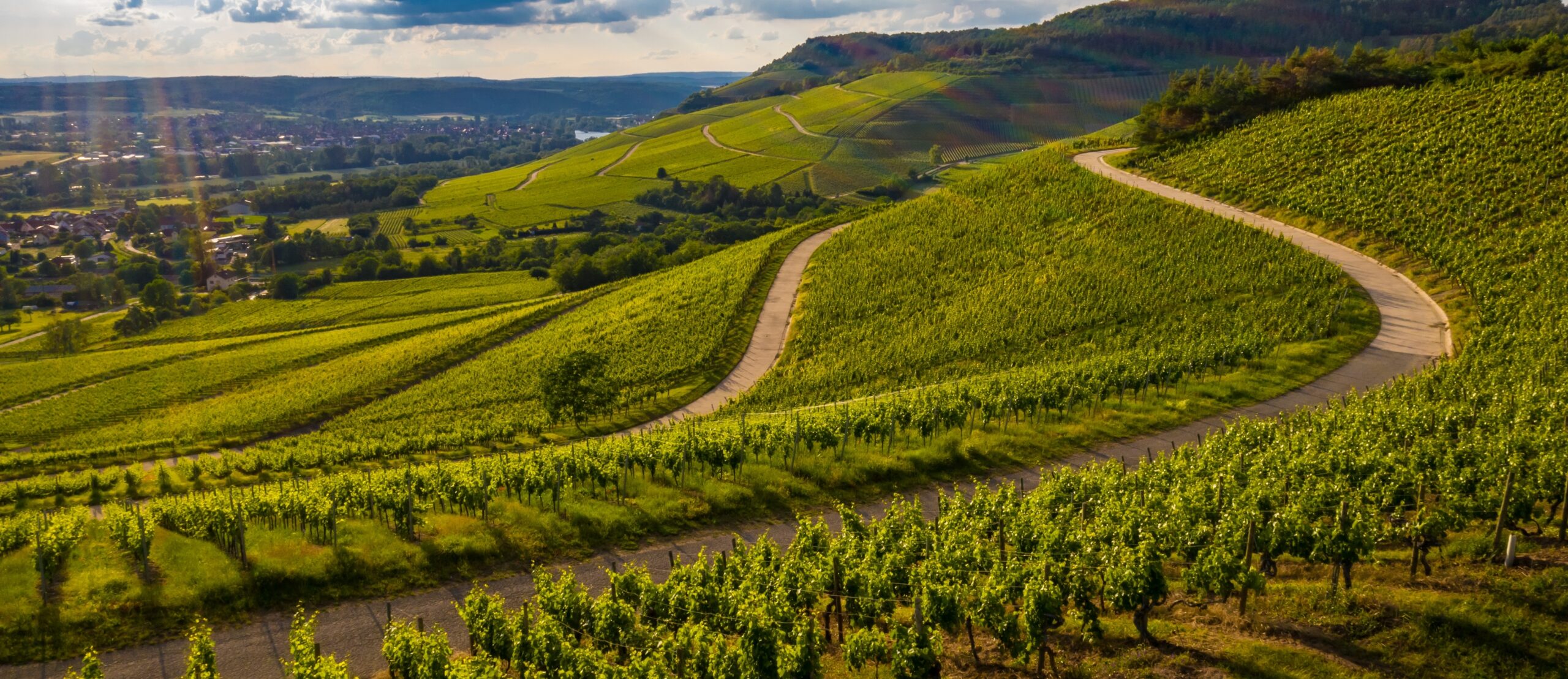 beautiful-view-vineyard-green-hills-sunset