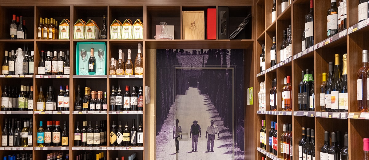 beautiful-view-vineyard-green-hills-sunset