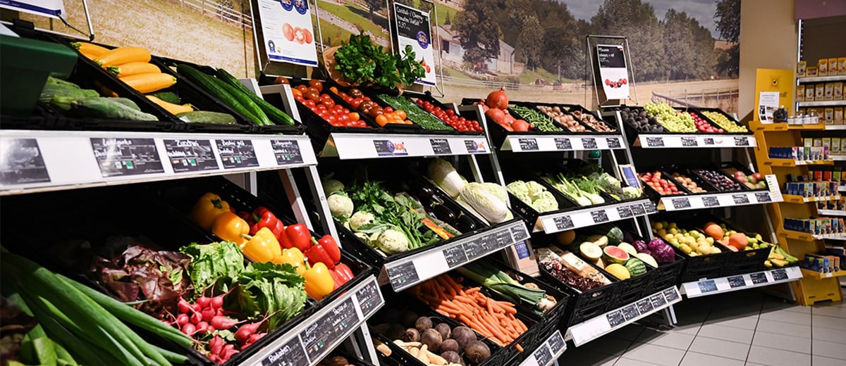 beautiful-view-vineyard-green-hills-sunset